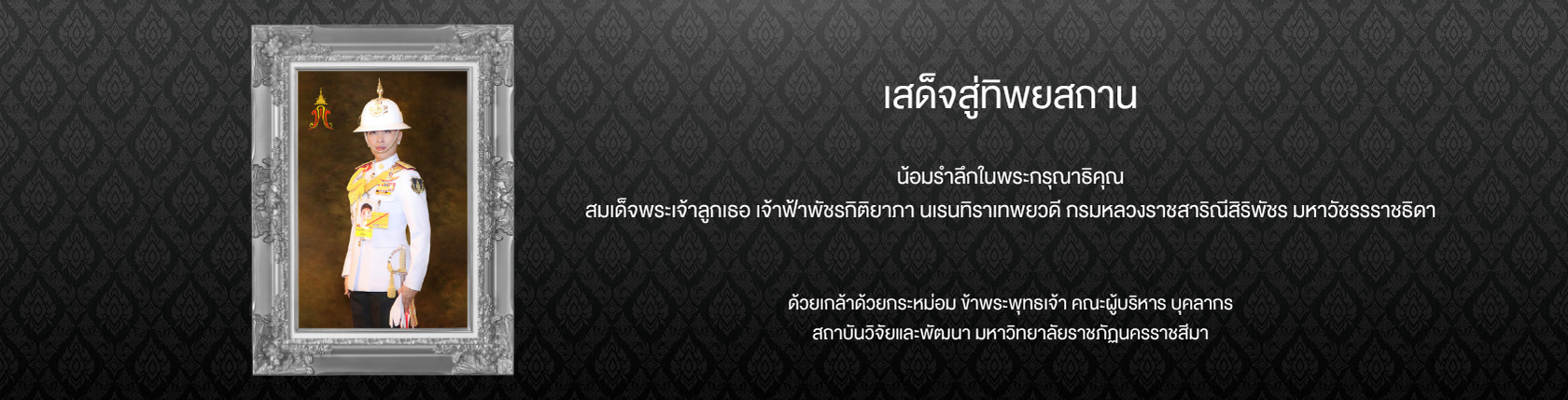 banner slide